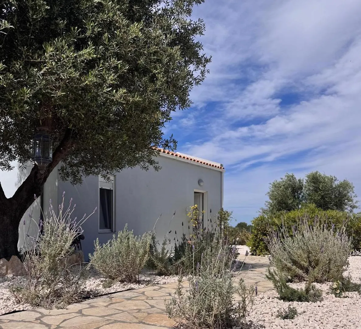 Meraki Mou My Pride And Care Spartia  Spartia (Kefalonia)