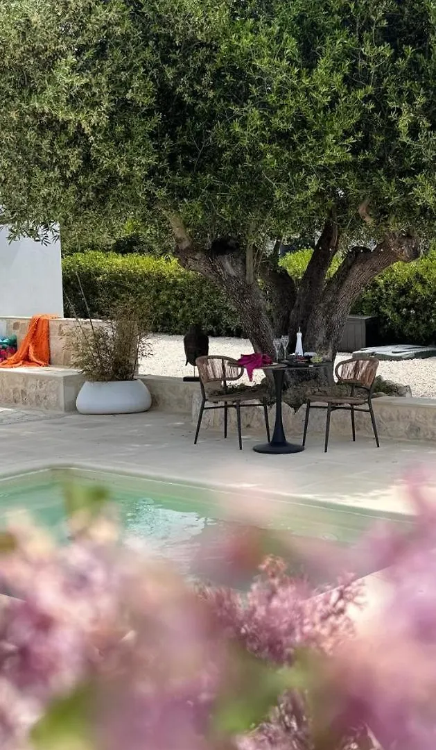 Meraki Mou My Pride And Care Spartia  Spartia (Kefalonia)
